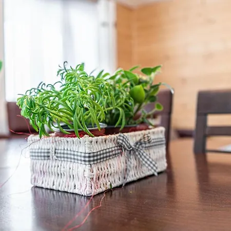 Apartment Gawlaki Zakopane