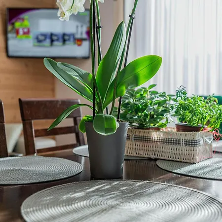 Apartment Gawlaki Zakopane