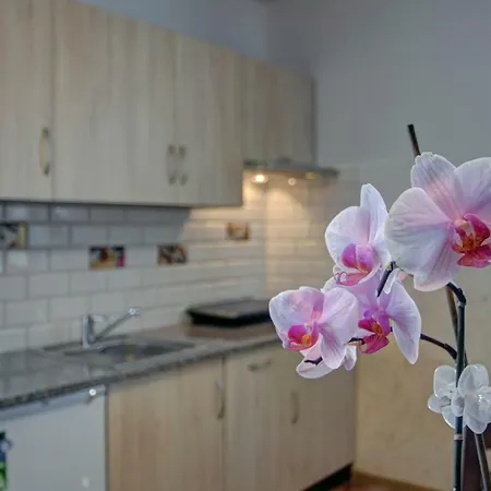 Gawlaki Apartment Zakopane